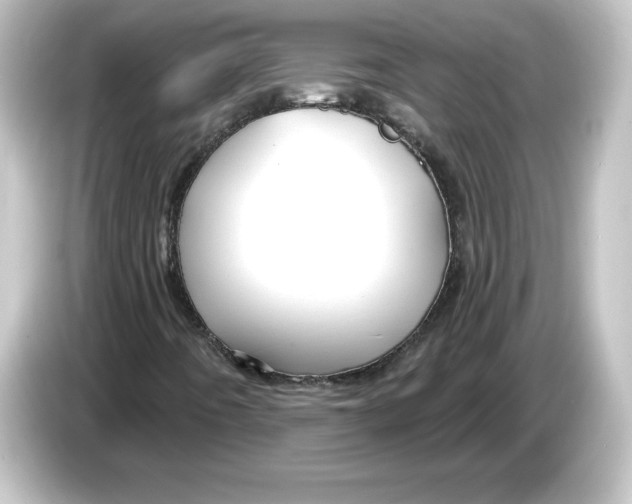 X0000084601442200703161809