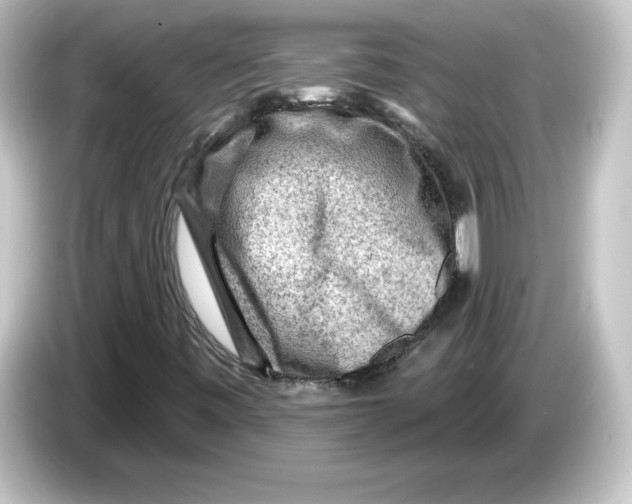 X0000084601443200703161809