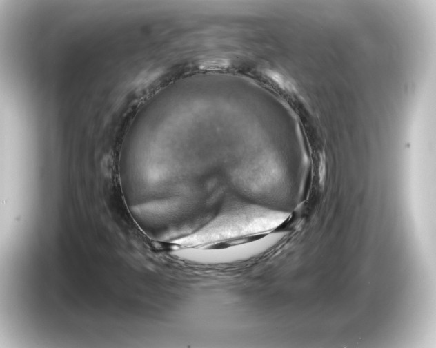 X0000084601445200703161809