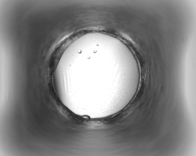 X0000084601448200703161809