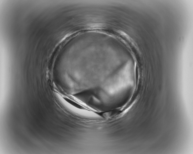 X0000084601449200703161809