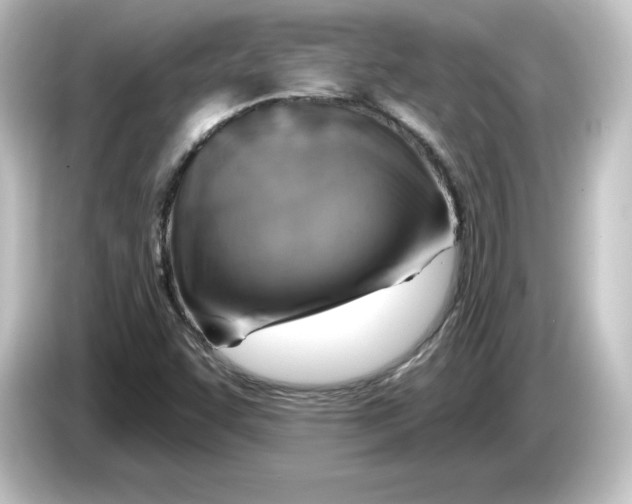 X0000084601455200703161809