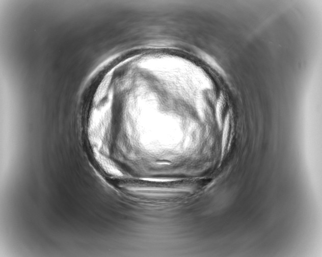 X0000084601456200703161809