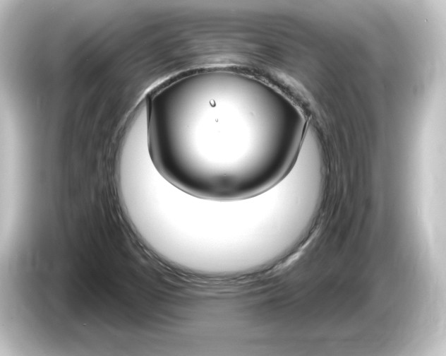 X0000084601457200703161809