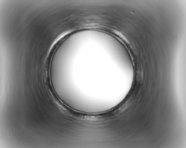 X0000084601458200703161809