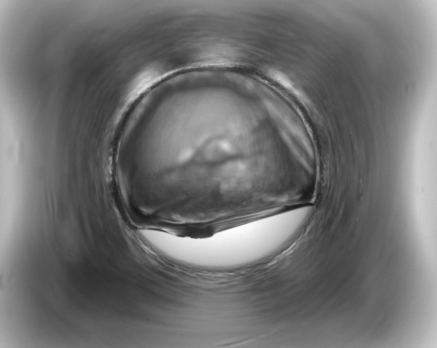 X0000084601459200703161809