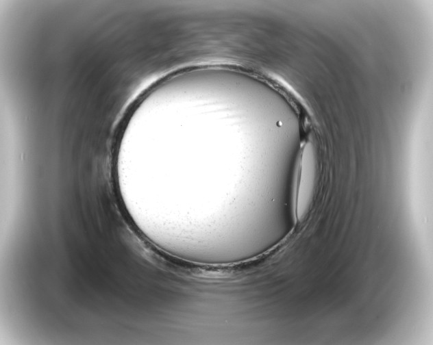 X0000084601460200703161809