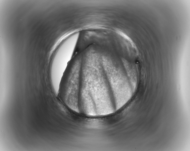 X0000084601461200703161809