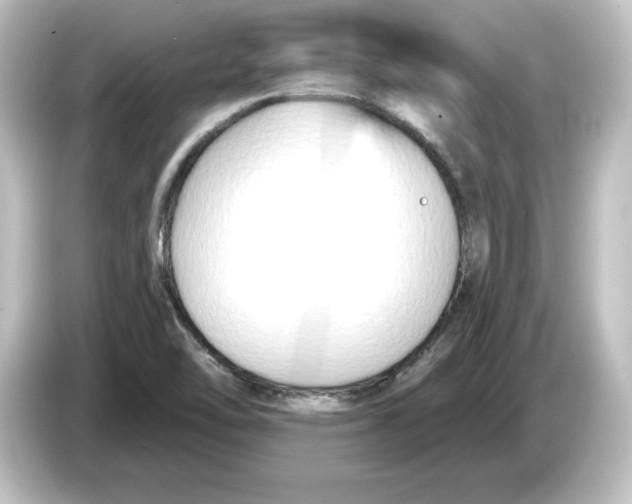 X0000084601462200703161809