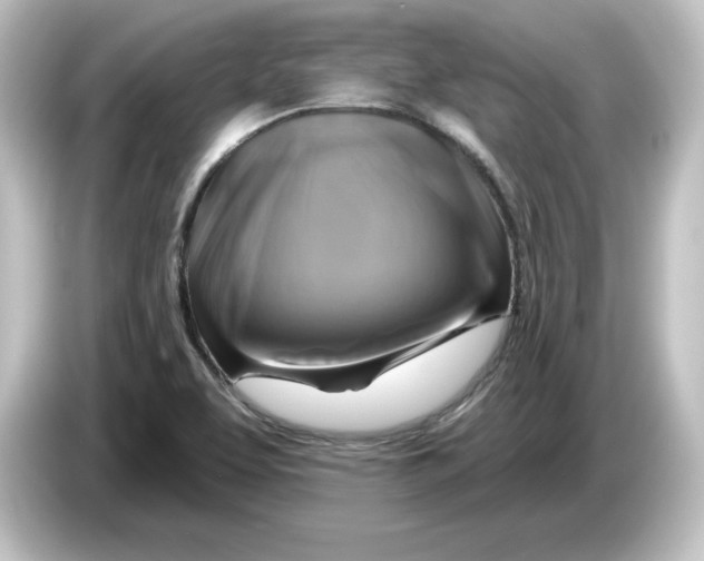 X0000084601463200703161809