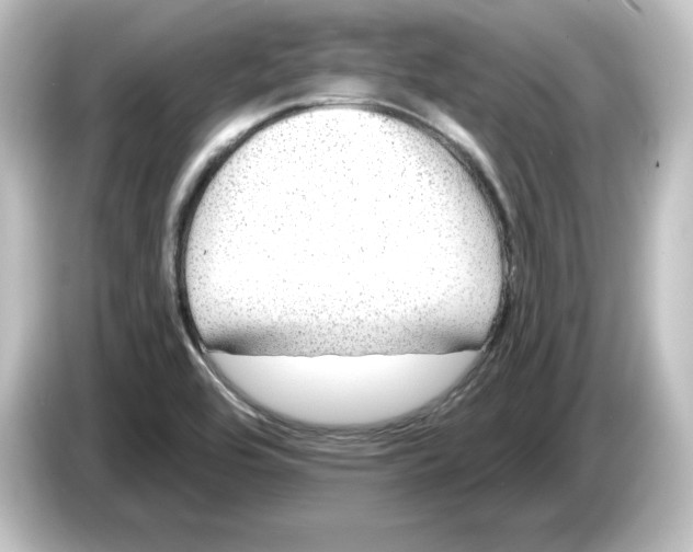 X0000084601464200703161809