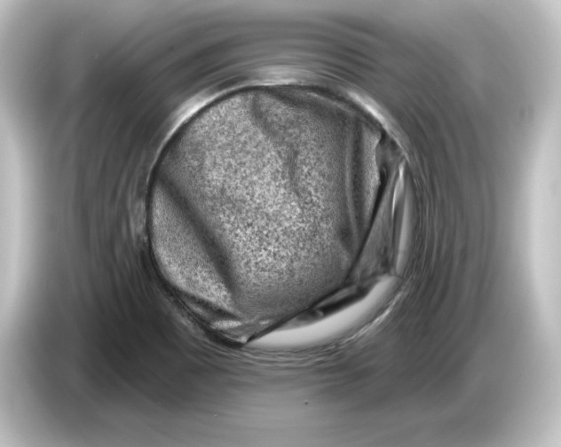 X0000084601465200703161809