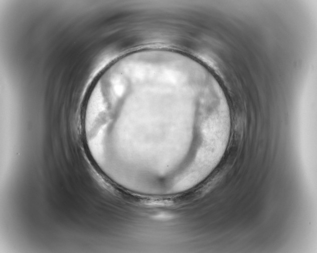 X0000084601466200703161809