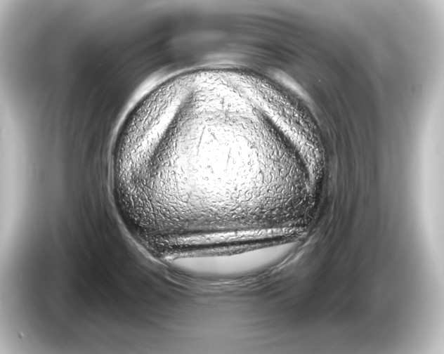 X0000084601467200703161809