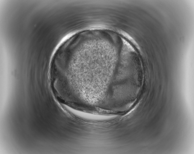 X0000084601469200703161809