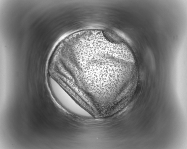 X0000084601471200703161809