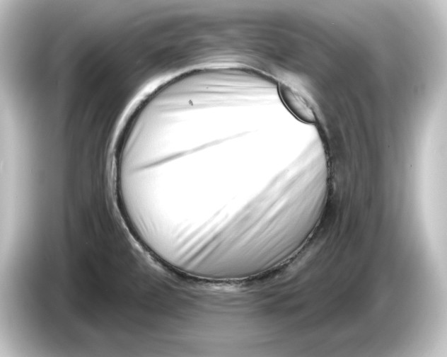 X0000084601472200703161809