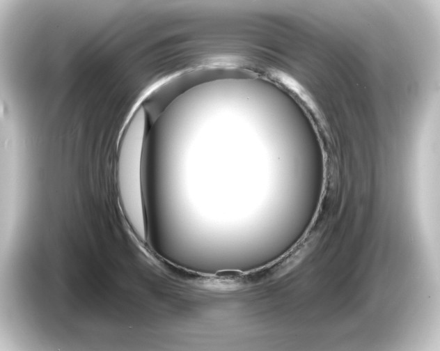 X0000084601473200703161809