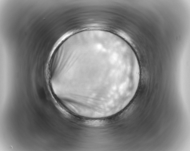 X0000084601474200703161809