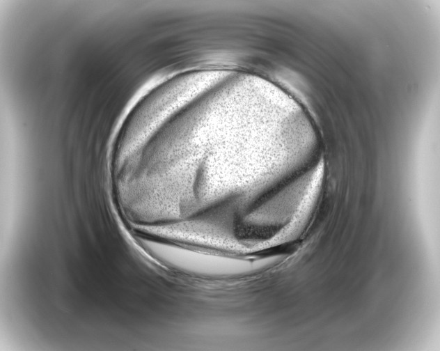 X0000084601475200703161809