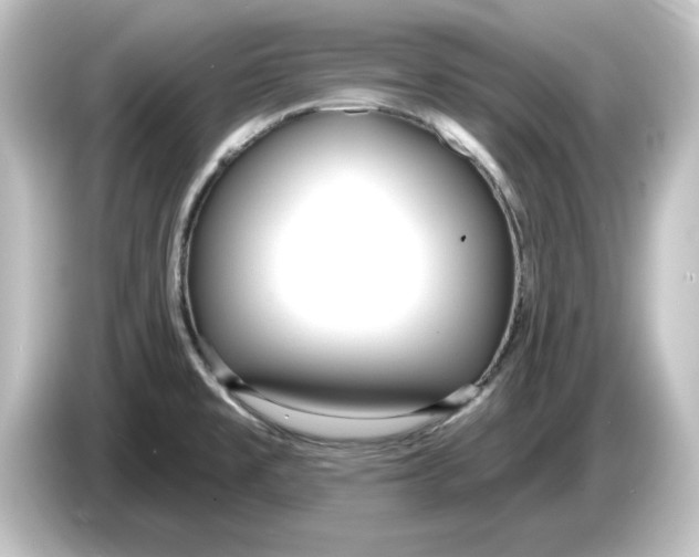 X0000084601477200703161809