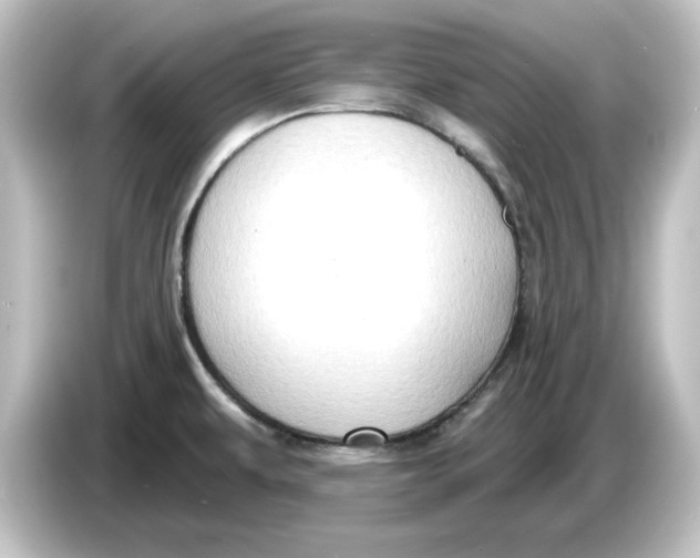 X0000084601479200703161809