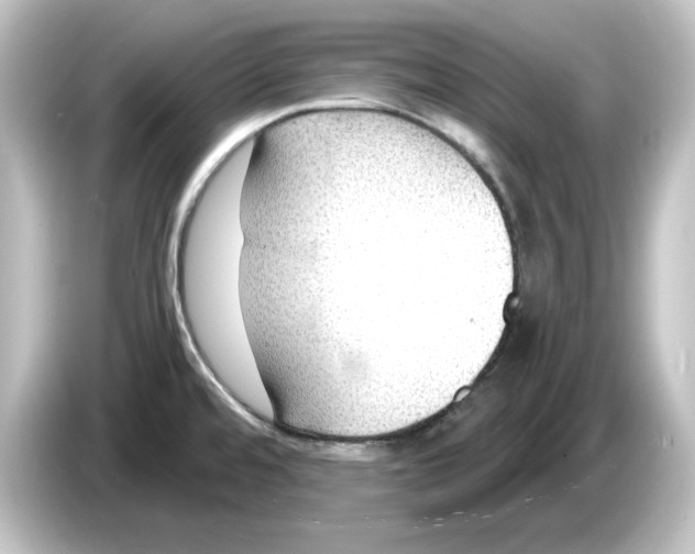 X0000084601480200703161809