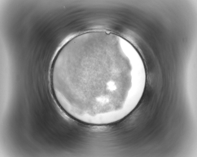 X0000084601482200703161809