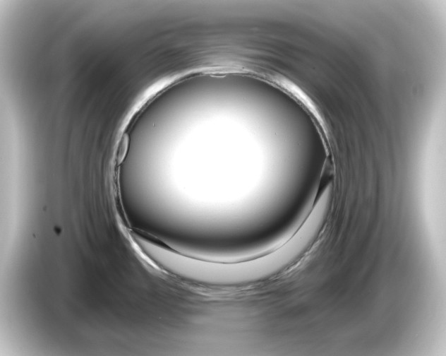 X0000084601485200703161809