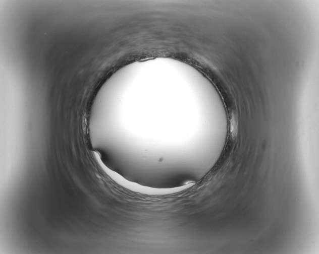 X0000084601492200703161808