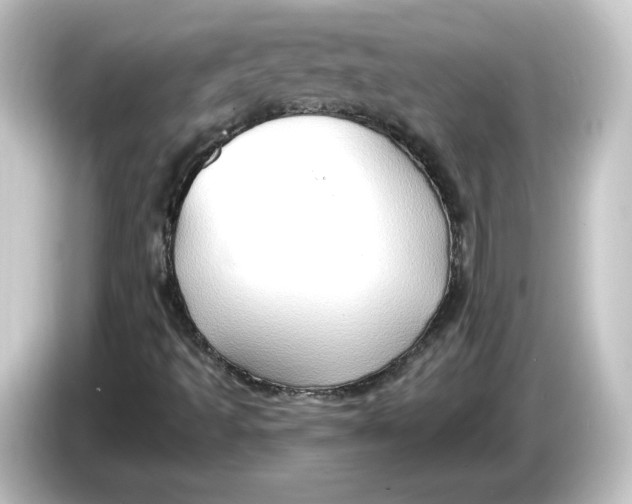 X0000084601493200703161808