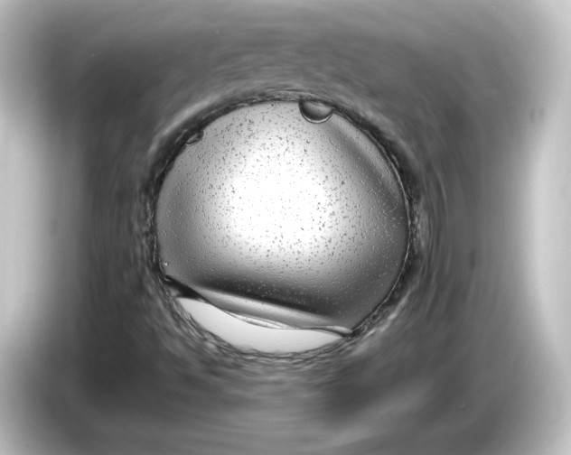 X0000084601494200703161808