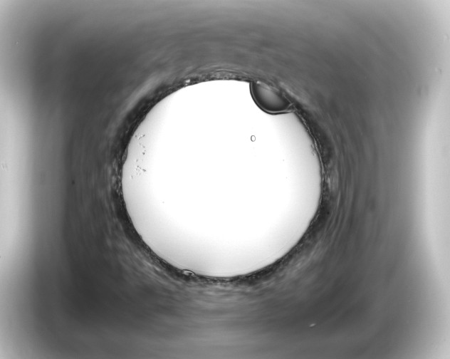 X0000084601495200703161808