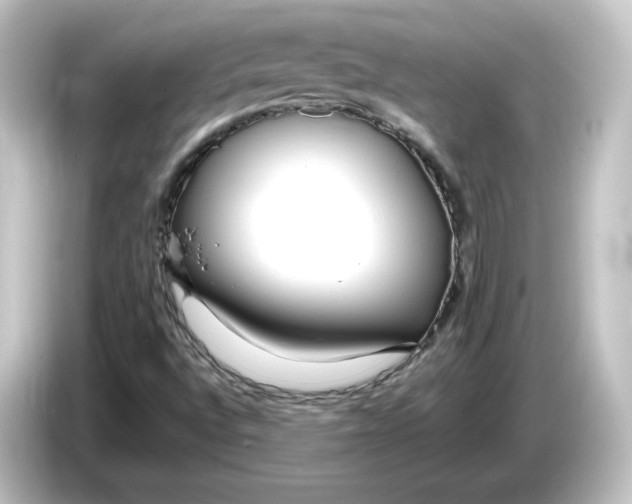 X0000084601496200703161808