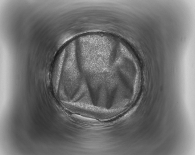 X0000084601497200703161808