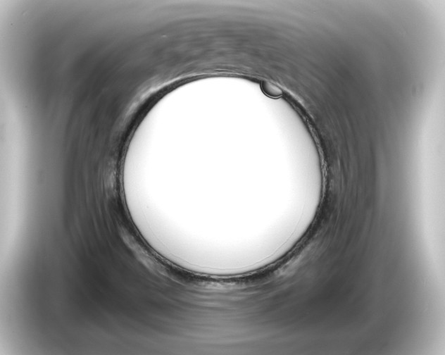 X0000084601499200703161808