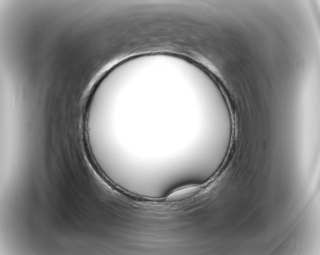 X0000084601500200703161808