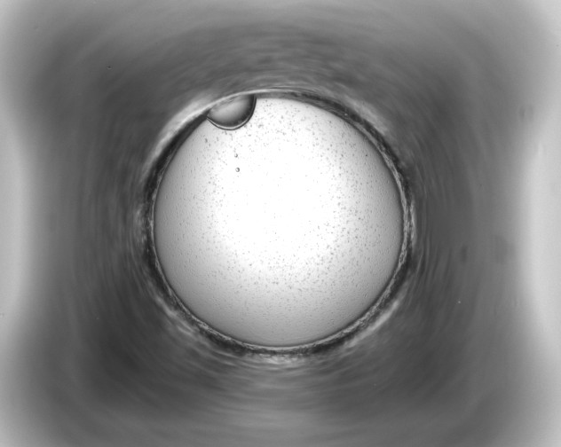 X0000084601501200703161808