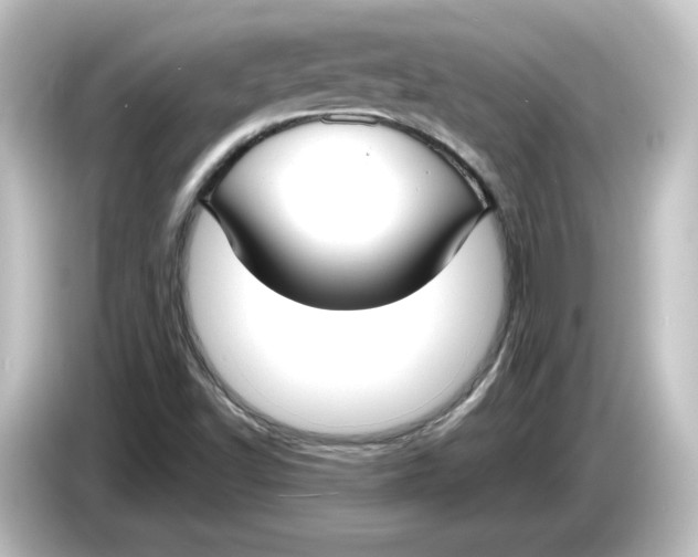 X0000084601502200703161808