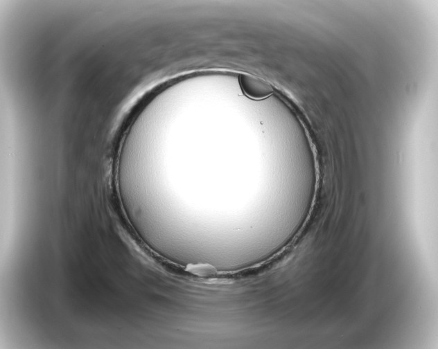 X0000084601503200703161808