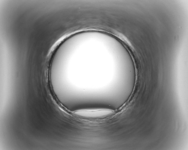 X0000084601504200703161808