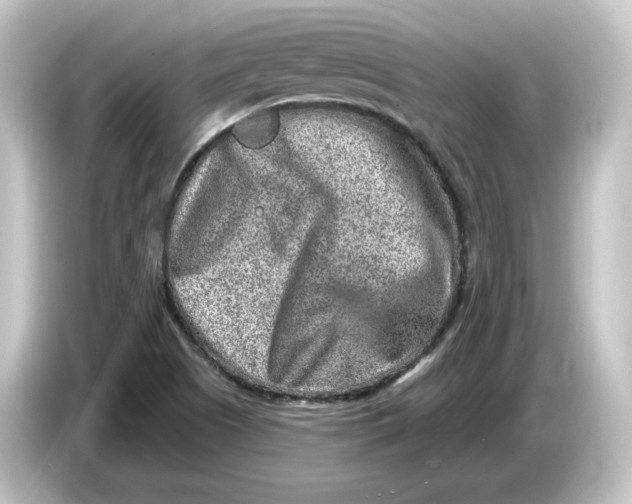 X0000084601505200703161808