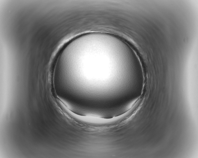 X0000084601506200703161808