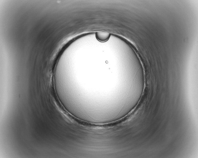 X0000084601507200703161809