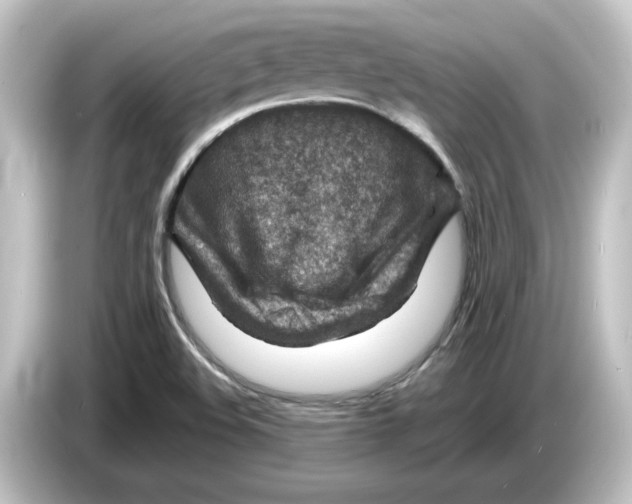 X0000084601508200703161809