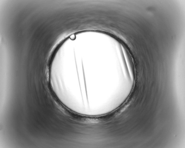 X0000084601509200703161809