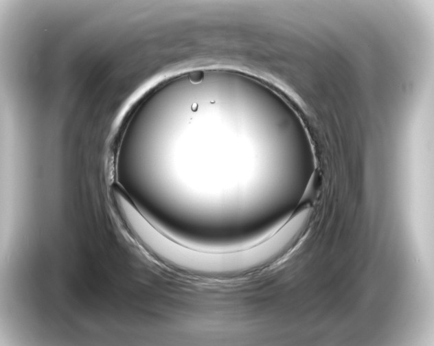 X0000084601510200703161809