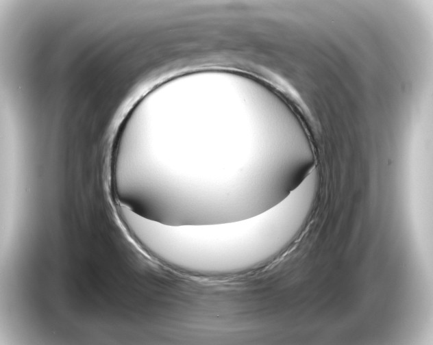 X0000084601512200703161809