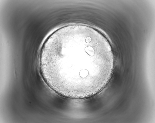 X0000084601514200703161809