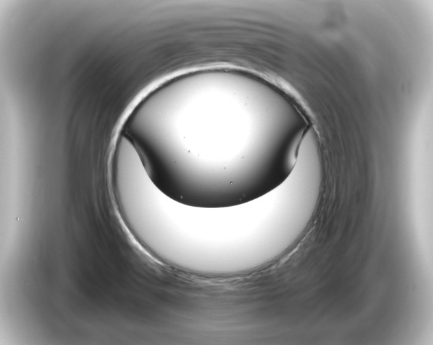 X0000084601516200703161809